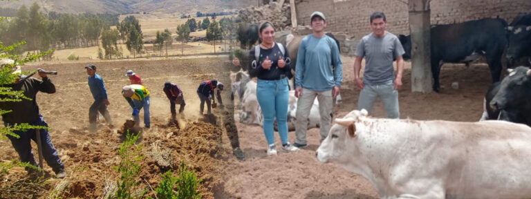 PRODUCCIÓN AGROPECUARIA